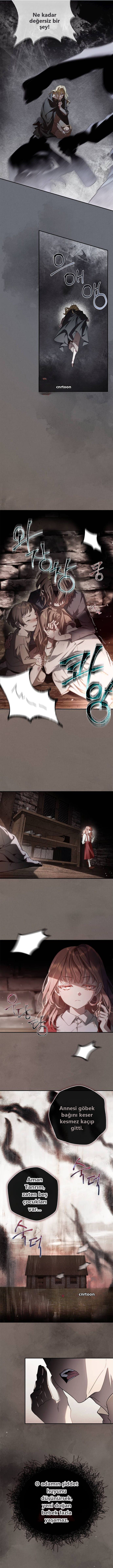 The Count’s Secret Maid 1. Bölüm - Sayfa 3 Türkçe Oku