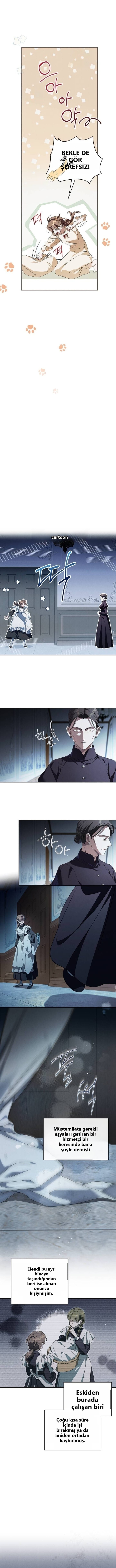 The Count’s Secret Maid 3. Bölüm - Sayfa 11 Türkçe Oku