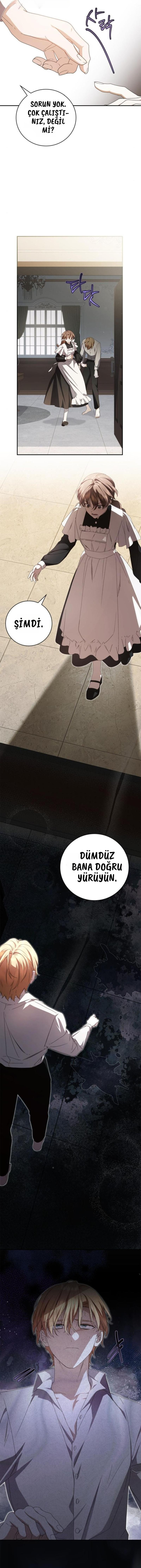 The Count’s Secret Maid 12. Bölüm - Sayfa 11 Türkçe Oku