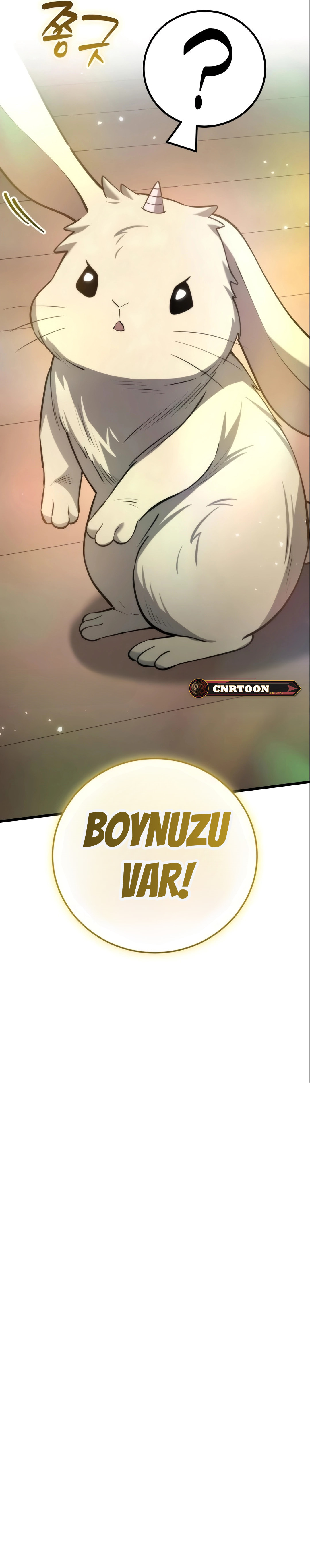 I Became A Married Man in Another World 14. Bölüm - Sayfa 17 Türkçe Oku